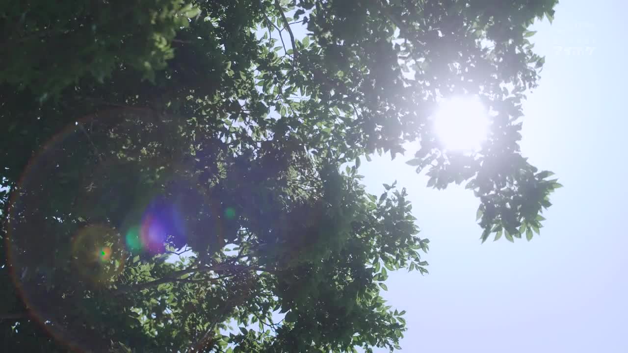 IPZZ_236_佐佐木紗希_超級新人美少女佐佐木女僕新作！因為對我有撿來的恩情