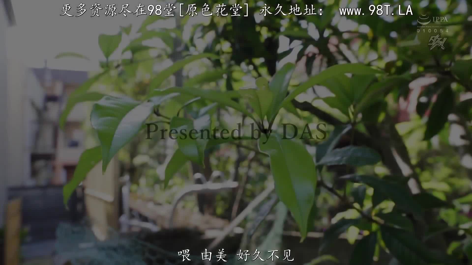 DASS_318_椿りか_被派遣按摩師碰觸秘部、受不了快樂被寢取。
