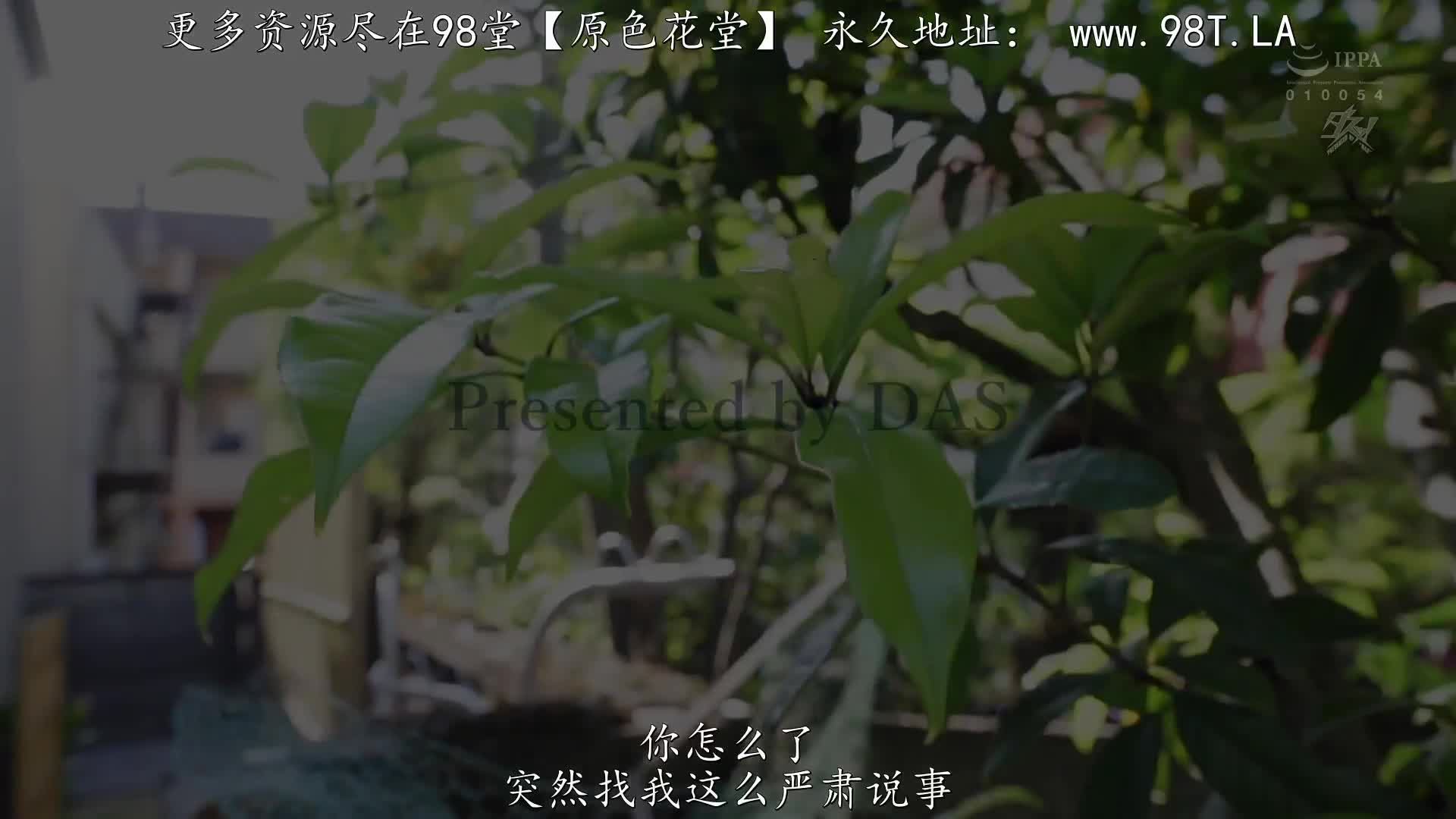 DASS_320_星乃夏月_向崇拜男性器的新興宗教尋求救贖的巨乳青梅竹馬，讓她墮落的幻覺恍惚亂交