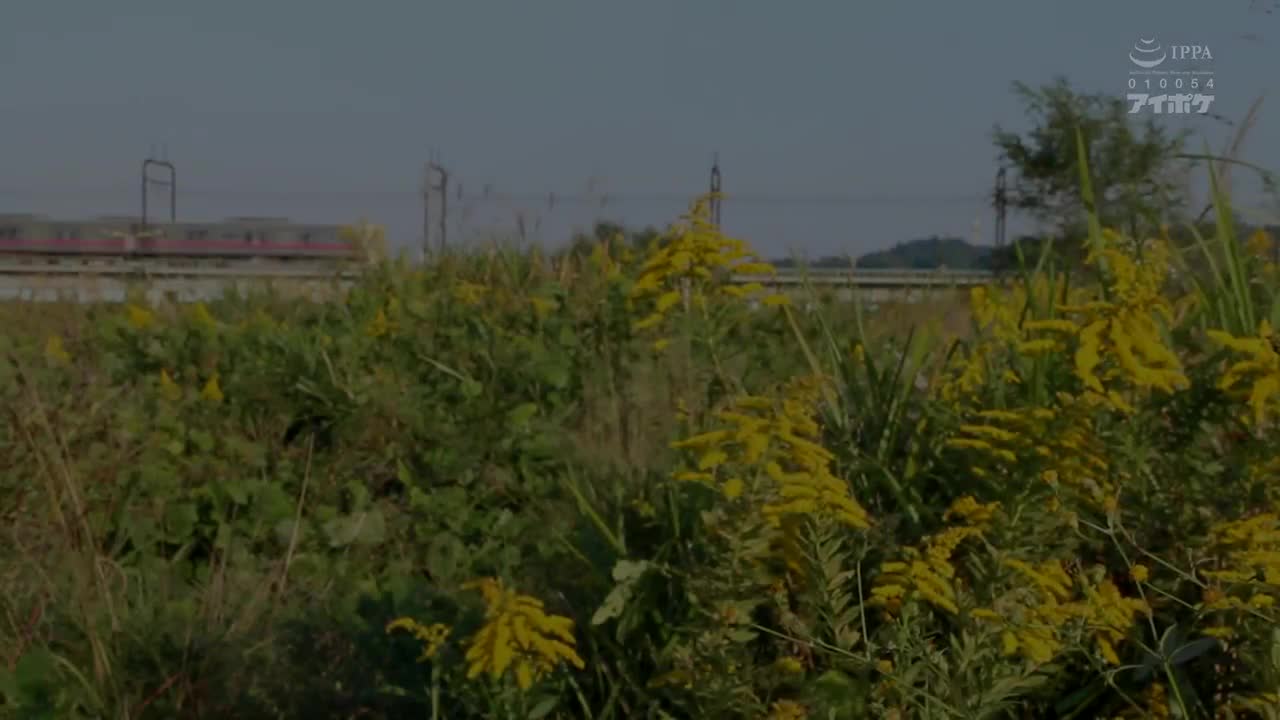 IPZZ_235_杏ここ_和討厭的上司出差地溫泉旅館意外地成為同房...被醜陋的絕倫老頭子不斷地折磨，我無法自拔。